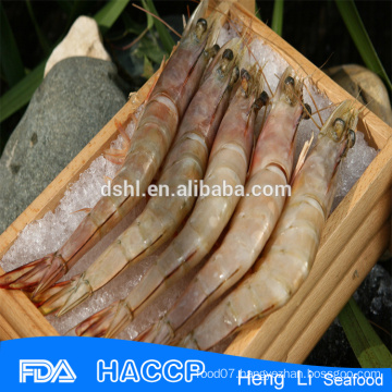 HL002 seafood frozen wild sea caught shrimp